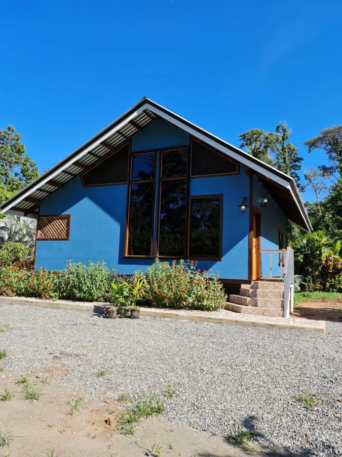 Casa Numu Villa Cahuita Eksteriør billede